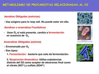Aerobias Obligadas (estrictas)
Aerobias o anaerobias Facultativas
Anaerobias Obligadas (estricta)
- Usa oxígeno para la resp cell. No puede estar sin ella.
- Usan O2 si está presente, cambia a fermentación
en ausencia de O2.
- Envenenado por O2
- Dos tipos:
1. Fermentación: bacteria que solo da fermentación.
2. Respiración Anaerobica: Utiliza substancias
distinto del O2 como aceptor de electrones final como
el nitrato (NO3-) y sulfato (SO42-)
METABOLISMO DE PROCARIOTAS RELACIONADAS AL O2
Acetobacter aceti
Clostridium Botulinum
 