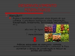DESENVOLVIMENTO
FISIOLÓGICO
 Atenção!!!
 Frutas e hortaliças continuam vivas depois de sua
colheita  processos biológicos vitais (respiração,
transpiração, brotamento, germinação das sementes,
etc).
+
alto teor de água
=
Perecibilidade
Práticas adequadas de manuseio: colheita,
armazenamento, comercialização e consumo  Para
aumentar o tempo de conservação e reduzir as
perdas pós-colheita
 