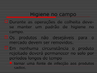 Higiene no campo
 Durante as operações de colheita deve-
se manter um padrão de higiene no
campo.
 Os produtos não desejáveis para o
mercado devem ser removidos.
 Em nenhuma circunstância o produto
rejeitado deverá permanecer no solo por
períodos longos de tempo
 tornar uma fonte de infecção aos produtos
sadios.
 