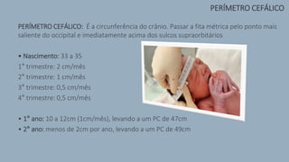 PERÍMETRO CEFÁLICO: É a circunferência do crânio. Passar a fita métrica pelo ponto mais
saliente do occipital e imediatamente acima dos sulcos supraorbitários
• Nascimento: 33 a 35
1° trimestre: 2 cm/mês
2° trimestre: 1 cm/mês
3° trimestre: 0,5 cm/mês
4° trimestre: 0,5 cm/mês
• 1° ano: 10 a 12cm (1cm/mês), levando a um PC de 47cm
• 2° ano: menos de 2cm por ano, levando a um PC de 49cm
PERÍMETRO CEFÁLICO
 