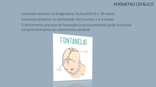 > Fontanela anterior ou bregmática: fecha entre 9 e 18 meses
> Fontanela posterior ou lambdoide: fecha entre 1 e 4 meses
> O fechamento precoce da fontanela (craniossinostose) pode ocasionar
comprometimento do crescimento cerebral
PERÍMETRO CEFÁLICO
 