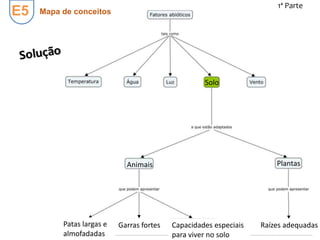 E5
1ª Parte
Mapa de conceitos
Solo
Animais Plantas
Patas largas e
almofadadas
Garras fortes Capacidades especiais
para viver no solo
Raízes adequadas
 