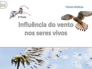 Fatores Abióticos
2ª Parte
E6
 
