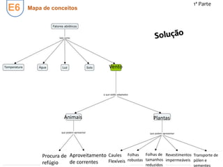 E6
1ª Parte
Mapa de conceitos
Vento
Animais Plantas
Procura de
refúgio
Aproveitamento
de correntes
Caules
Flexíveis
Revestimentos
impermeáveis
Folhas
robustas
Folhas de
tamanhos
reduzidos
Transporte de
pólen e
sementes
 