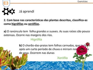 Já aprendi
E3
2. Com base nas características das plantas descritas, classifica-as
como higrófilas ou xerófilas.
a) O ranúnculo tem folha grandes e suaves. As suas raízes são pouco
extensas. Ocorre nas margens dos rios.
Higrófila
Xerófila
b) O chorão-das-praias tem folhas carnudas, que incham
após um curto período de chuva e mirram nos períodos
de seca. Ocorrem nas dunas
Exercícios
 