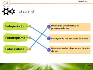 Já aprendi
E4
Exercícios
 