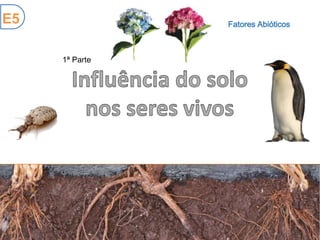 Fatores Abióticos
1ª Parte
E5
 