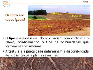 E5
1ª Parte
• O tipo e a espessura do solo variam com o clima e o
relevo, condicionando o tipo de comunidades que
formam os ecossistemas.
• A textura e a porosidade determinam a disponibilidade
de nutrientes para plantas e animais.
Os solos são
todos iguais?
 