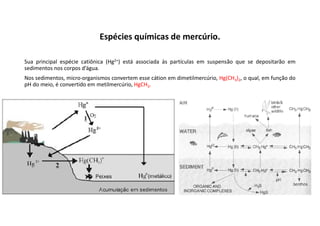 Espécies químicas de mercúrio.
Sua principal espécie catiônica (Hg2+) está associada às partículas em suspensão que se depositarão em
sedimentos nos corpos d’água.
Nos sedimentos, micro-organismos convertem esse cátion em dimetilmercúrio, Hg(CH3)2, o qual, em função do
pH do meio, é convertido em metilmercúrio, HgCH3.
 