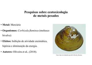 • Metal: Mercúrio
• Organismos: Corbicula ﬂuminea (molusco
bivalve)
• Efeitos: Inibição de atividade enzimática,
hipóxia e diminuição da energia.
• Autores: Oliveira et al., (2018).
Fonte: https://pt.wikipedia.org/wiki/Corbicula_fluminea
Pesquisas sobre ecotoxicologia
de metais pesados
 