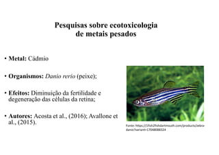 • Metal: Cádmio
• Organismos: Danio rerio (peixe);
• Efeitos: Diminuição da fertilidade e
degeneração das células da retina;
• Autores: Acosta et al., (2016); Avallone et
al., (2015). Fonte: https://1fish2fishdartmouth.com/products/zebra-
danio?variant=17048088324
Pesquisas sobre ecotoxicologia
de metais pesados
 
