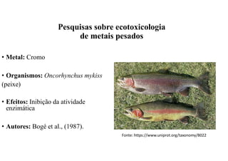 • Metal: Cromo
• Organismos: Oncorhynchus mykiss
(peixe)
• Efeitos: Inibição da atividade
enzimática
• Autores: Bogé et al., (1987).
Fonte: https://www.uniprot.org/taxonomy/8022
Pesquisas sobre ecotoxicologia
de metais pesados
 