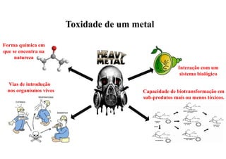 Toxidade de um metal
Interação com um
sistema biológico
Forma química em
que se encontra na
natureza
Vias de introdução
nos organismos vivos Capacidade de biotransformação em
sub-produtos mais ou menos tóxicos.
 