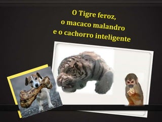 O Tigre feroz,  o macaco malandro  e o cachorro inteligente 