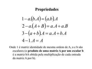 Propriedades
Onde 1 é matriz identidade de mesma ordem de A, a e b são
escalares (o produto de uma matriz A por um escalar b
é a matriz bA obtida pela multiplicação de cada entrada
da matriz A por b).
   
 
 
A
A
A
b
A
a
A
b
a
B
a
A
a
B
A
a
A
b
a
A
b
a












.
1
4
.
.
.
3
.
.
.
2
.
.
.
.
1
 