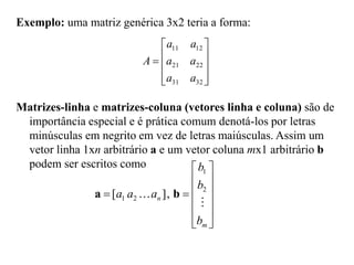 










32
31
22
21
12
11
a
a
a
a
a
a
A
Exemplo: uma matriz genérica 3x2 teria a forma:
Matrizes-linha e matrizes-coluna (vetores linha e coluna) são de
importância especial e é prática comum denotá-los por letras
minúsculas em negrito em vez de letras maiúsculas. Assim um
vetor linha 1xn arbitrário a e um vetor coluna mx1 arbitrário b
podem ser escritos como














m
n
b
b
b
a
a
a

 2
1
2
1 ,
]
[ b
a
 