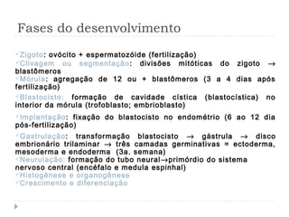 Fases do desenvolvimento
Zigoto: ovócito + espermatozóide (fertilização)
Clivagem ou segmentação: divisões mitóticas do zigoto →
blastômeros
Mórula: agregação de 12 ou + blastômeros (3 a 4 dias após
fertilização)
Blastocisto: formação de cavidade cística (blastocística) no
interior da mórula (trofoblasto; embrioblasto)
Implantação: fixação do blastocisto no endométrio (6 ao 12 dia
pós-fertilização)
Gastrulação: transformação blastocisto → gástrula → disco
embrionário trilaminar → três camadas germinativas = ectoderma,
mesoderma e endoderma (3a. semana)
Neurulação: formação do tubo neural→primórdio do sistema
nervoso central (encéfalo e medula espinhal)
Histogênese e organogênese
Crescimento e diferenciação
 