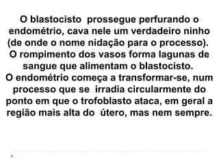 O blastocisto prossegue perfurando o
endométrio, cava nele um verdadeiro ninho
(de onde o nome nidação para o processo).
O rompimento dos vasos forma lagunas de
sangue que alimentam o blastocisto.
O endométrio começa a transformar-se, num
processo que se irradia circularmente do
ponto em que o trofoblasto ataca, em geral a
região mais alta do útero, mas nem sempre.
 