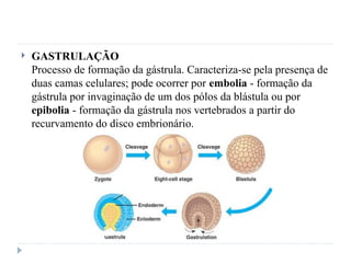  GASTRULAÇÃO
Processo de formação da gástrula. Caracteriza-se pela presença de
duas camas celulares; pode ocorrer por embolia - formação da
gástrula por invaginação de um dos pólos da blástula ou por
epibolia - formação da gástrula nos vertebrados a partir do
recurvamento do disco embrionário.
 