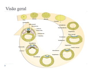 Visão geral
 