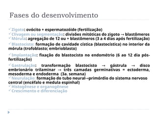 Fases do desenvolvimento
Zigoto: ovócito + espermatozóide (fertilização)
Clivagem ou segmentação: divisões mitóticas do zigoto  blastômeros
Mórula: agregação de 12 ou + blastômeros (3 a 4 dias após fertilização)
Blastocisto: formação de cavidade cística (blastocística) no interior da
mórula (trofoblasto; embrioblasto)
Implantação: fixação do blastocisto no endométrio (6 ao 12 dia pós-
fertilização)
Gastrulação: transformação blastocisto  gástrula  disco
embrionário trilaminar  três camadas germinativas = ectoderma,
mesoderma e endoderma (3a. semana)
Neurulação: formação do tubo neuralprimórdio do sistema nervoso
central (encéfalo e medula espinhal)
Histogênese e organogênese
Crescimento e diferenciação
 