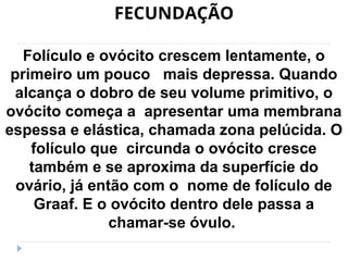 FECUNDAÇÃO
Folículo e ovócito crescem lentamente, o
primeiro um pouco mais depressa. Quando
alcança o dobro de seu volume primitivo, o
ovócito começa a apresentar uma membrana
espessa e elástica, chamada zona pelúcida. O
folículo que circunda o ovócito cresce
também e se aproxima da superfície do
ovário, já então com o nome de folículo de
Graaf. E o ovócito dentro dele passa a
chamar-se óvulo.
 