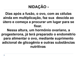 Dias após a fusão, o ovo, com as células
ainda em multiplicação, faz sua descida ao
útero e começa a procurar um lugar para se
fixar.
Nessa altura, um hormônio ovariano, a
progesterona, já terá preparado o endométrio
para alimentar o ovo, mediante suprimento
adicional de glicogênio e outras substâncias
nutritivas
NIDAÇÃO -
 