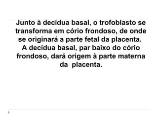 Junto à decídua basal, o trofoblasto se
transforma em cório frondoso, de onde
se originará a parte fetal da placenta.
A decídua basal, par baixo do cório
frondoso, dará origem à parte materna
da placenta.
 