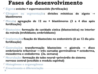 Fases do desenvolvimento
 Zigoto: ovócito + espermatozóide (fertilização)
 Clivagem ou segmentação: divisões mitóticas do zigoto 
blastômeros
 Mórula: agregação de 12 ou + blastômeros (3 a 4 dias após
fertilização)
 Blastocisto: formação de cavidade cística (blastocística) no interior
da mórula (trofoblasto; embrioblasto)
 Implantação: fixação do blastocisto no endométrio (6 ao 12 dia pós-
fertilização)
 Gastrulação: transformação blastocisto  gástrula  disco
embrionário trilaminar  três camadas germinativas = ectoderma,
mesoderma e endoderma (3a. semana)
 Neurulação: formação do tubo neuralprimórdio do sistema
nervoso central (encéfalo e medula espinhal)
 Histogênese e organogênese
 Crescimento e diferenciação
 