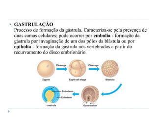  GASTRULAÇÃO
Processo de formação da gástrula. Caracteriza-se pela presença de
duas camas celulares; pode ocorrer por embolia - formação da
gástrula por invaginação de um dos pólos da blástula ou por
epibolia - formação da gástrula nos vertebrados a partir do
recurvamento do disco embrionário.
 
