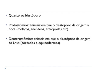  Quanto ao blastóporo:
 Protostômios: animais em que o blastóporo da origem a
boca (molscos, anelídeos, artrópodes etc)
 Deuterostômios: animais em que o blastóporo da origem
ao ânus (cordados e equinodermos)
 