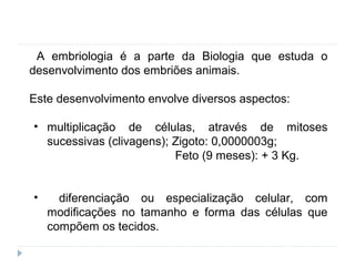 A embriologia é a parte da Biologia que estuda o
desenvolvimento dos embriões animais.
Este desenvolvimento envolve diversos aspectos:
• multiplicação de células, através de mitoses
sucessivas (clivagens); Zigoto: 0,0000003g;
Feto (9 meses): + 3 Kg.
• diferenciação ou especialização celular, com
modificações no tamanho e forma das células que
compõem os tecidos.
 