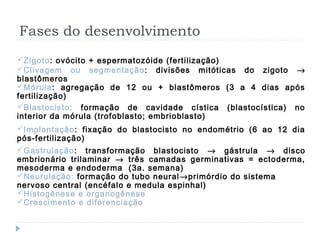 Fases do desenvolvimento
Zigoto: ovócito + espermatozóide (fertilização)
Clivagem ou segmentação: divisões mitóticas do zigoto →
blastômeros
Mórula: agregação de 12 ou + blastômeros (3 a 4 dias após
fertilização)
Blastocisto: formação de cavidade cística (blastocística) no
interior da mórula (trofoblasto; embrioblasto)
Implantação: fixação do blastocisto no endométrio (6 ao 12 dia
pós-fertilização)
Gastrulação: transformação blastocisto → gástrula → disco
embrionário trilaminar → três camadas germinativas = ectoderma,
mesoderma e endoderma (3a. semana)
Neurulação: formação do tubo neural→primórdio do sistema
nervoso central (encéfalo e medula espinhal)
Histogênese e organogênese
Crescimento e diferenciação
 