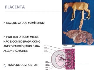 PLACENTA
 EXCLUSIVA DOS MAMÍFEROS;
 POR TER ORIGEM MISTA,
NÃO É CONSIDERADA COMO
ANEXO EMBRIONÁRIO PARA
ALGUNS AUTORES;
 TROCA DE COMPOSTOS;
 