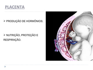 PLACENTA
 PRODUÇÃO DE HORMÔNIOS;
 NUTRIÇÃO, PROTEÇÃO E
RESPIRAÇÃO.
 