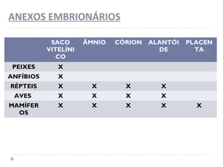 ANEXOS EMBRIONÁRIOS
SACO
VITELÍNI
CO
ÂMNIO CÓRION ALANTÓI
DE
PLACEN
TA
PEIXES X
ANFÍBIOS X
RÉPTEIS X X X X
AVES X X X X
MAMÍFER
OS
X X X X X
 