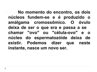 No momento do encontro, os dois
núcleos fundem-se e é produzido o
amálgama cromossômico. O óvulo
deixa de ser o que era e passa a se
chamar "ovo" ou "célula-ovo" e o
núcleo do espermatozóide deixa de
existir. Podemos dizer que neste
instante, nasce um novo ser.
 