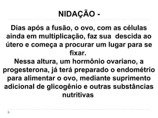 Dias após a fusão, o ovo, com as células
ainda em multiplicação, faz sua descida ao
útero e começa a procurar um lugar para se
fixar.
Nessa altura, um hormônio ovariano, a
progesterona, já terá preparado o endométrio
para alimentar o ovo, mediante suprimento
adicional de glicogênio e outras substâncias
nutritivas
NIDAÇÃO -
 