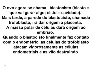O ovo agora se chama blastocisto (blasto =
que vai gerar algo; cisto = cavidade).
Mais tarde, a parede do blastocisto, chamada
trofoblasto, irá dar origem à placenta.
A massa polar de células dará origem ao
embrião.
Quando o blastocisto finalmente faz contato
com o endométrio, as células do trofoblasto
atacam vigorosamente as células
endometriais e as vão destruindo
 