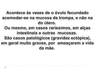 Acontece às vezes de o óvulo fecundado
acomodar-se na mucosa da trompa, e não na
do útero.
Ou mesmo, em casos raríssimos, em alças
intestinais e outras mucosas.
São casos patológicos (gravidez ectópica),
em geral muito graves, por ameaçarem a vida
da mãe.
 