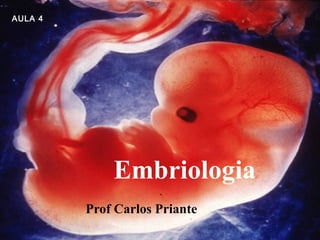 Embriologia
Prof Carlos Priante
AULA 4
 
