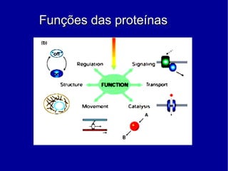 Funções das proteínasFunções das proteínas
 