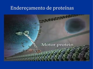 Endereçamento de proteínas
 