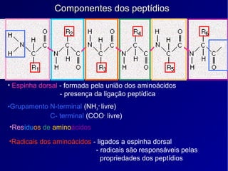 Componentes dos peptídiosComponentes dos peptídios
• Espinha dorsal - formada pela união dos aminoácidos
- presença da ligação peptídica
•Grupamento N-terminal (NH3
+
livre)
C- terminal (COO-
livre)
•Resíduos de aminoácidos
•Radicais dos aminoácidos - ligados a espinha dorsal
- radicais são responsáveis pelas
propriedades dos peptídios
O
 