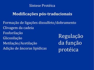 Síntese Protéica
Modificações pós-traducionais
Formação de ligações dissulfeto/dobramento
Clivagem da cadeia
Fosforilação
Glicosilação
Metilação/Acetilação
Adição de âncoras lipídicas
Regulação
da função
protéica
 