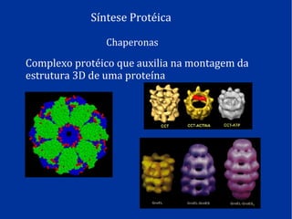 Síntese Protéica
Chaperonas
Complexo protéico que auxilia na montagem da
estrutura 3D de uma proteína
 