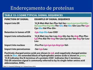 Endereçamento de proteínas
 