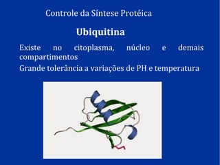 Controle da Síntese Protéica
Ubiquitina
Existe no citoplasma, núcleo e demais
compartimentos
Grande tolerância a variações de PH e temperatura
 