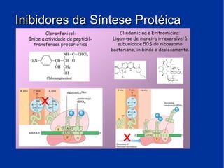 Inibidores da Síntese ProtéicaInibidores da Síntese Protéica
 