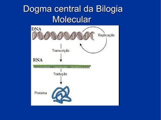 Dogma central da BilogiaDogma central da Bilogia
MolecularMolecular
 